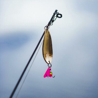 Detailed shot of a fishing lure on a rod against a blurred background.